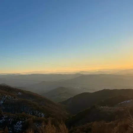 Daire Magdalena Kopaonik *