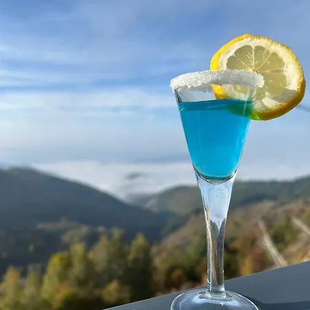 Magdalena Kopaonik * Čajetina