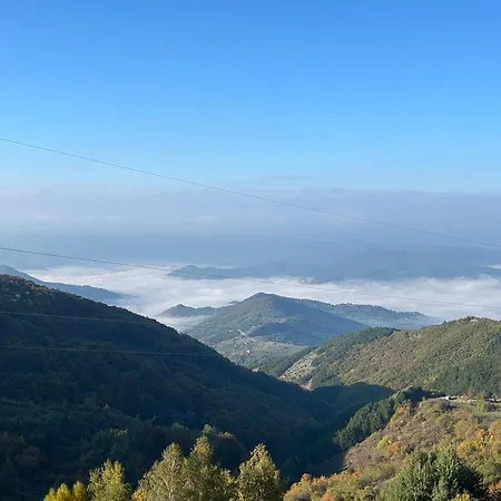 Daire Magdalena Kopaonik Čajetina