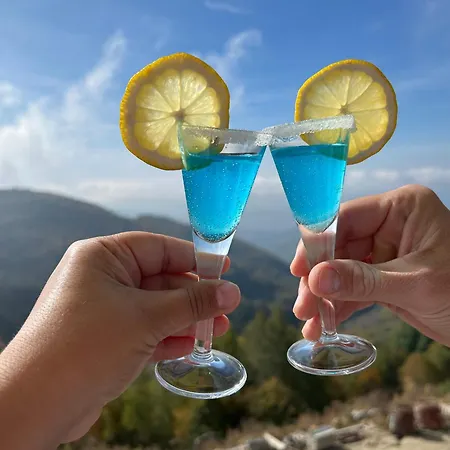 Magdalena Kopaonik *