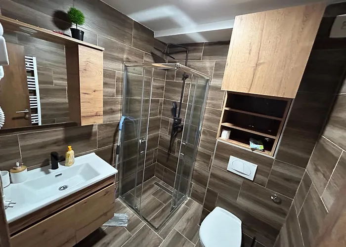 Magdalena Kopaonik *