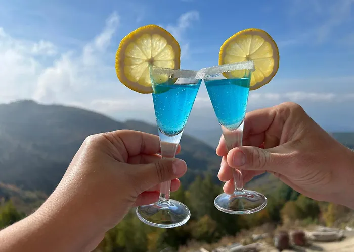 Magdalena Kopaonik *